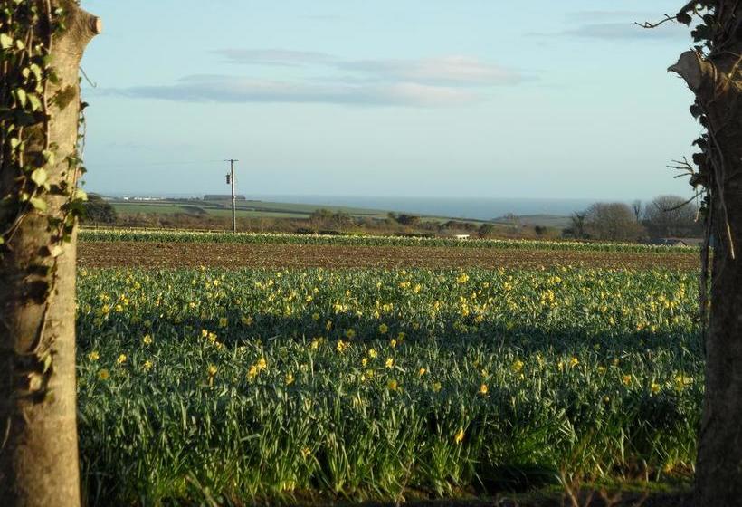 تختخواب و صبحانه Monterey Pines
