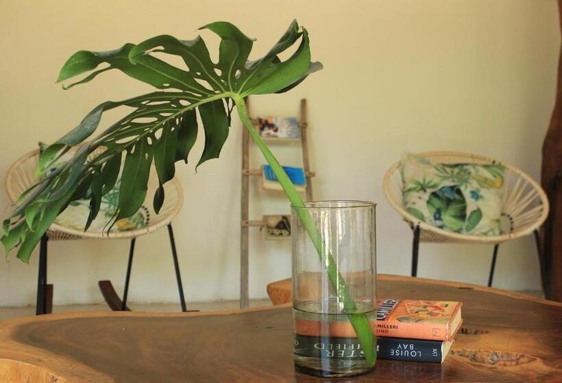 هتل Tierra Mia Boutique