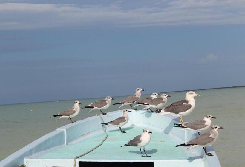 هتل Tierra Mia Boutique