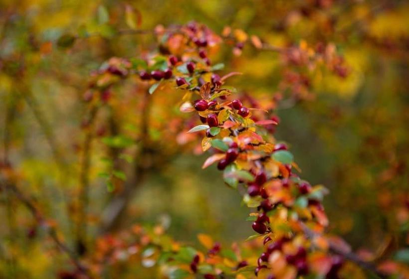 فندق Villa Billa