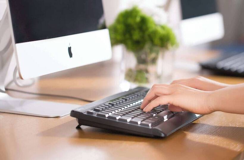 فندق Whistlelark Jeju