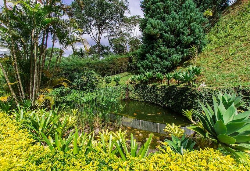 تختخواب و صبحانه Pousada Chacara Arace