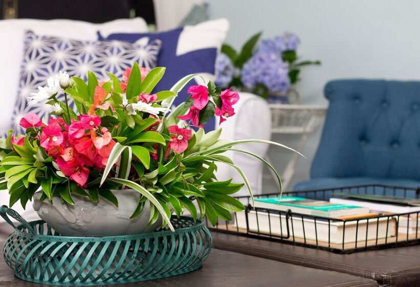 تختخواب و صبحانه Pousada Chacara Arace