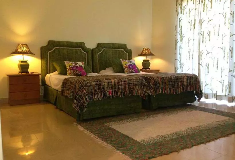 ベッドアンドブレックファースト Encosta Da Praia Luxury Suites
