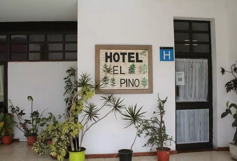 Hotelli El Pino