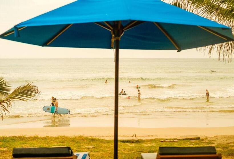 فندق The Seascape