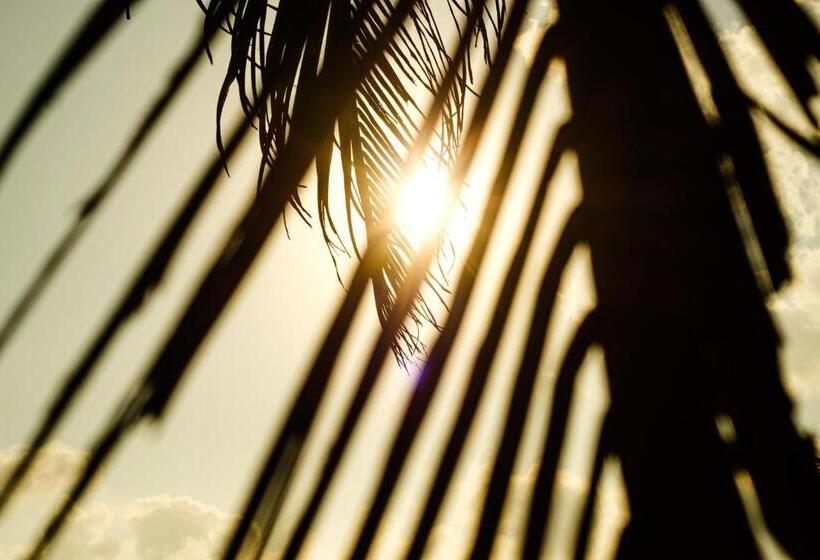 فندق The Seascape