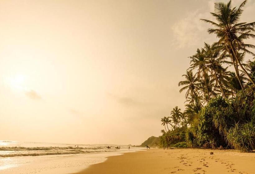 فندق The Seascape