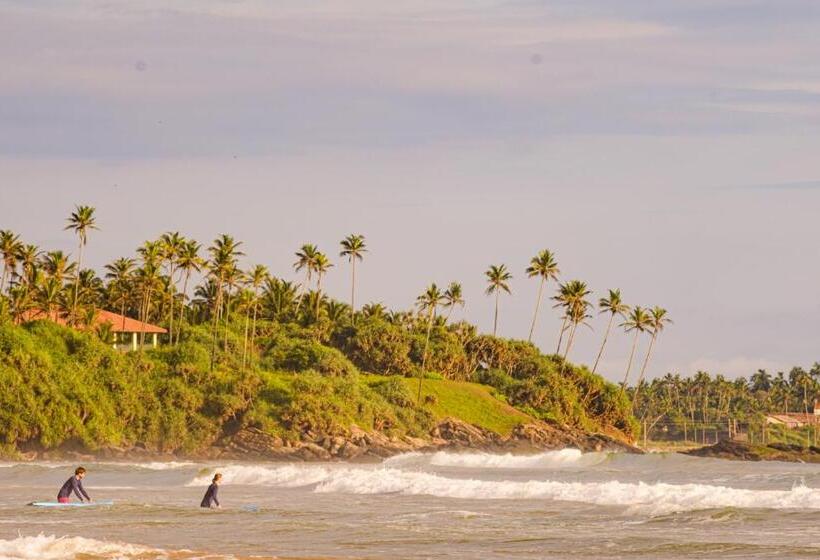 فندق The Seascape