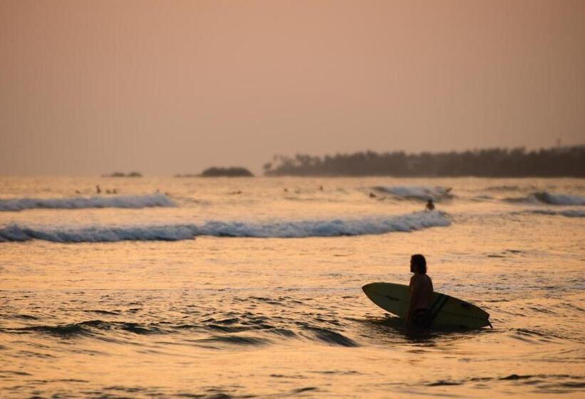 فندق The Seascape