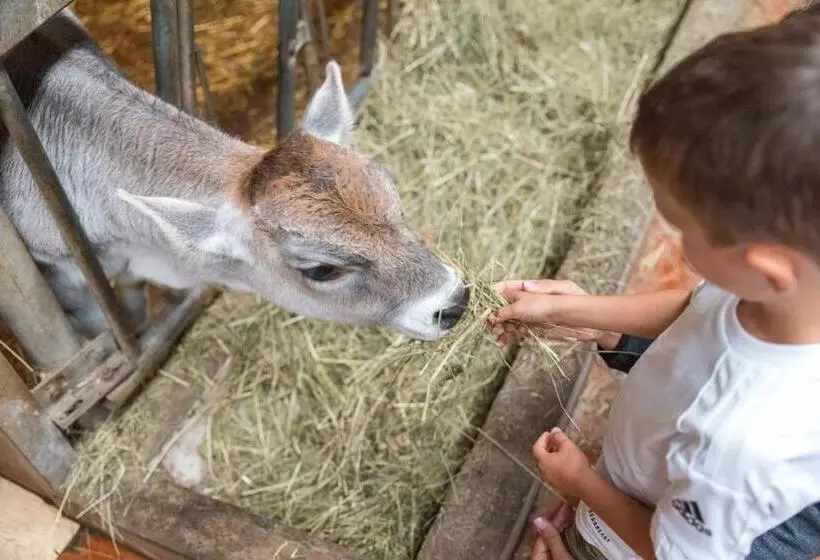 Mytime Hotels La Grotta