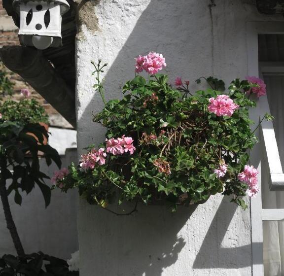 هاستل Hostal La Cazihita