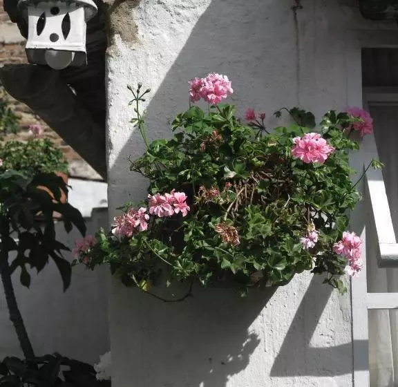 ユースホステル Hostal La Cazihita