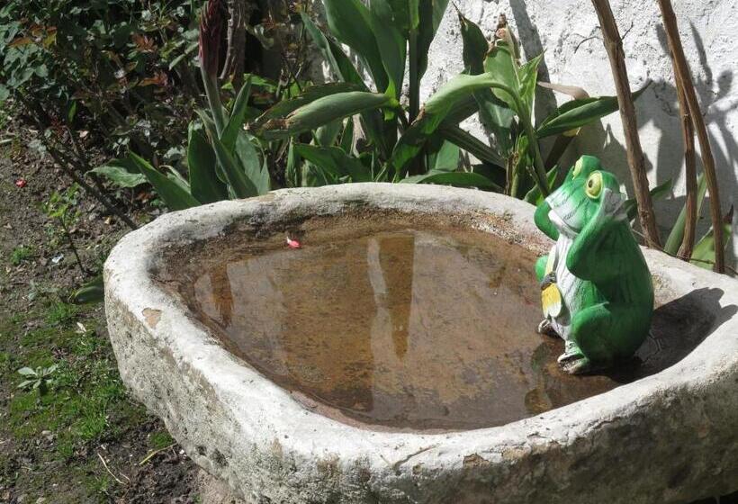 هاستل Hostal La Cazihita