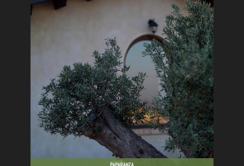 مبيت وإفطار Agriturismo Paparanza