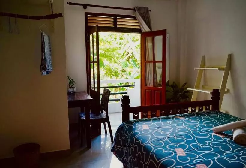 تختخواب و صبحانه Sea Life Guest & Surf House