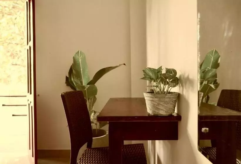 تختخواب و صبحانه Sea Life Guest & Surf House