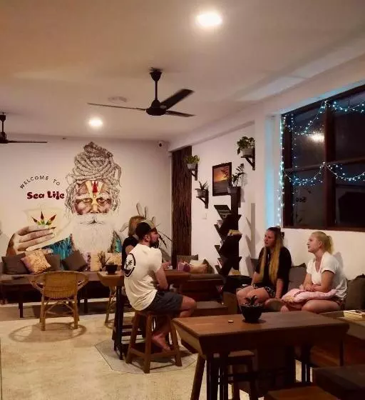 تختخواب و صبحانه Sea Life Guest & Surf House
