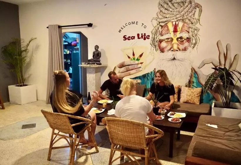 تختخواب و صبحانه Sea Life Guest & Surf House