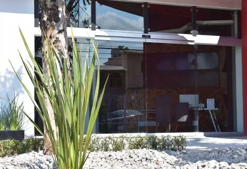 Esduma Hk Hotel Pachuca