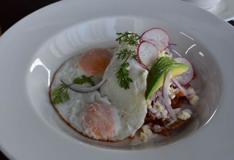 Esduma Hk Hotel Pachuca