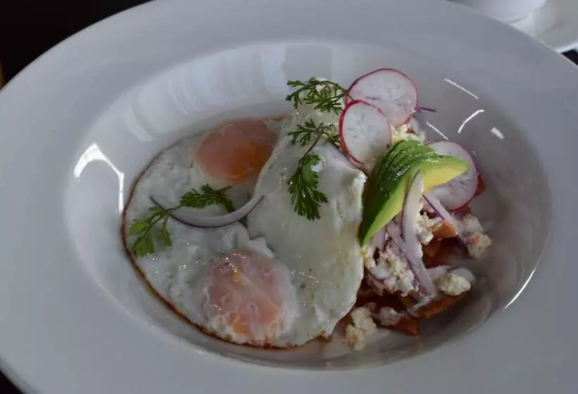 Esduma Hk Hotel Pachuca