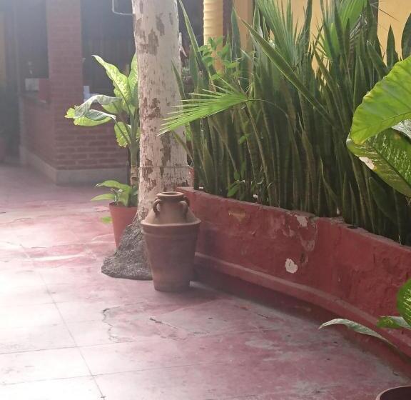 ホテル Hacienda San Jose