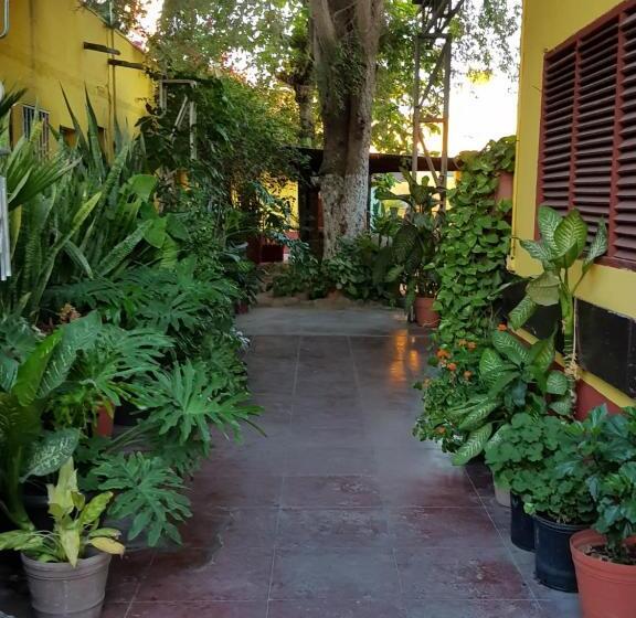 ホテル Hacienda San Jose