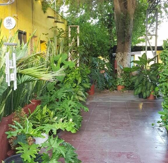 ホテル Hacienda San Jose