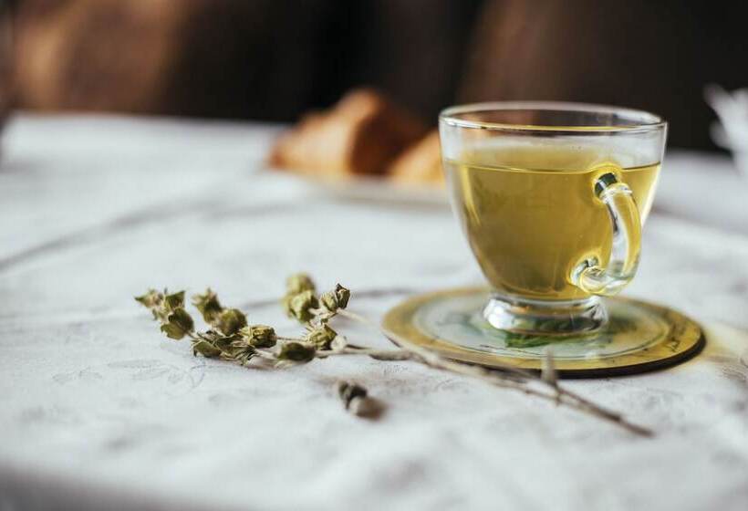 호텔 Selestina Boutique