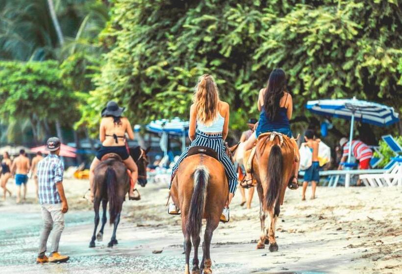 בית מלון כפרי Selina Tamarindo