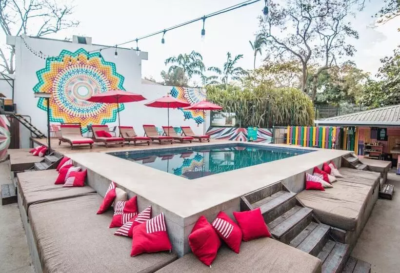 ホテル Selina Tamarindo