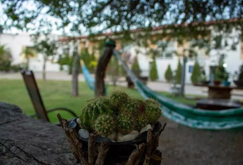 Hotelli São Francisco