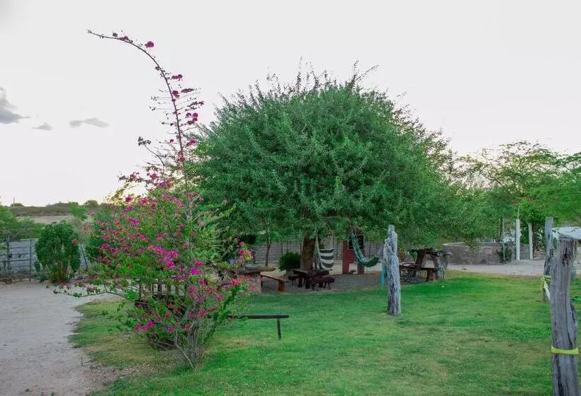 Hotelli São Francisco