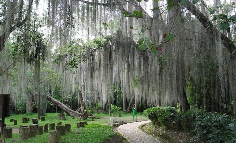 בית מלון כפרי Victoria Barichara