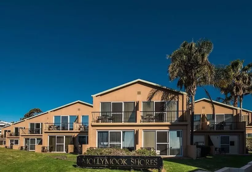 モーテル Mollymook Shores