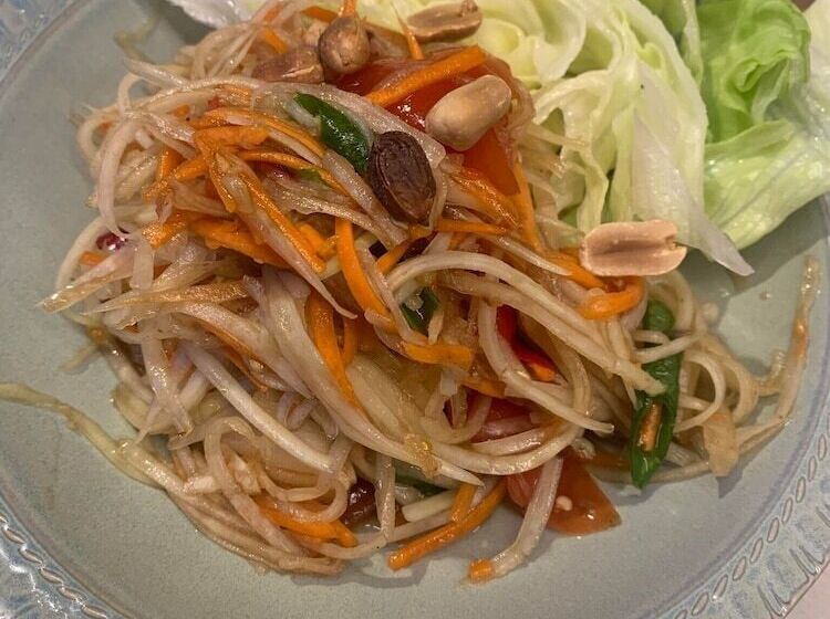 モーテル Mollymook Shores