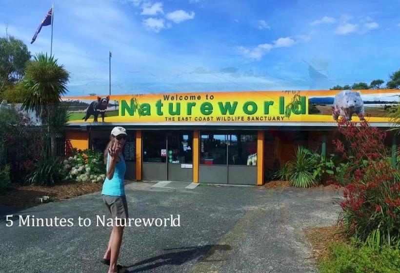 リゾートホテル Bicheno Cabin Park