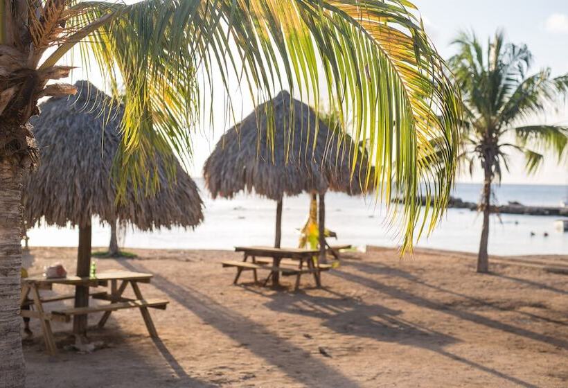 تختخواب و صبحانه The Pier Beach Inn & Suites