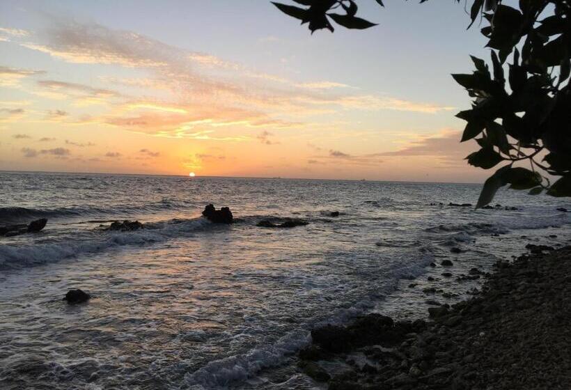 تختخواب و صبحانه The Pier Beach Inn & Suites