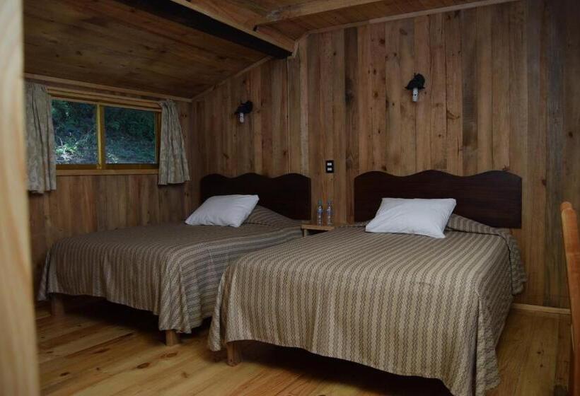 Отель Campestre Daarlu