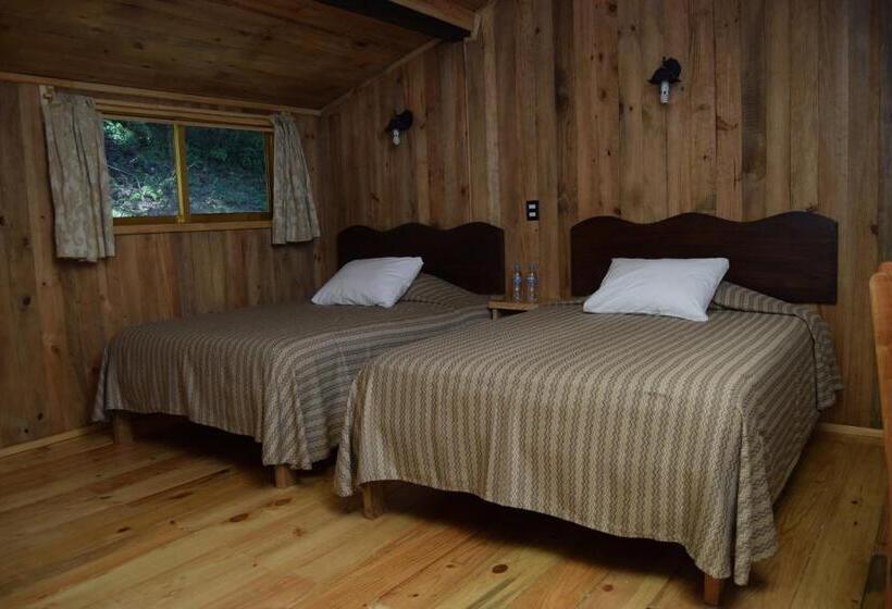 Отель Campestre Daarlu