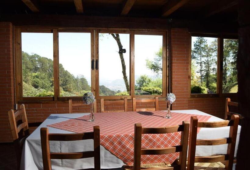 Отель Campestre Daarlu