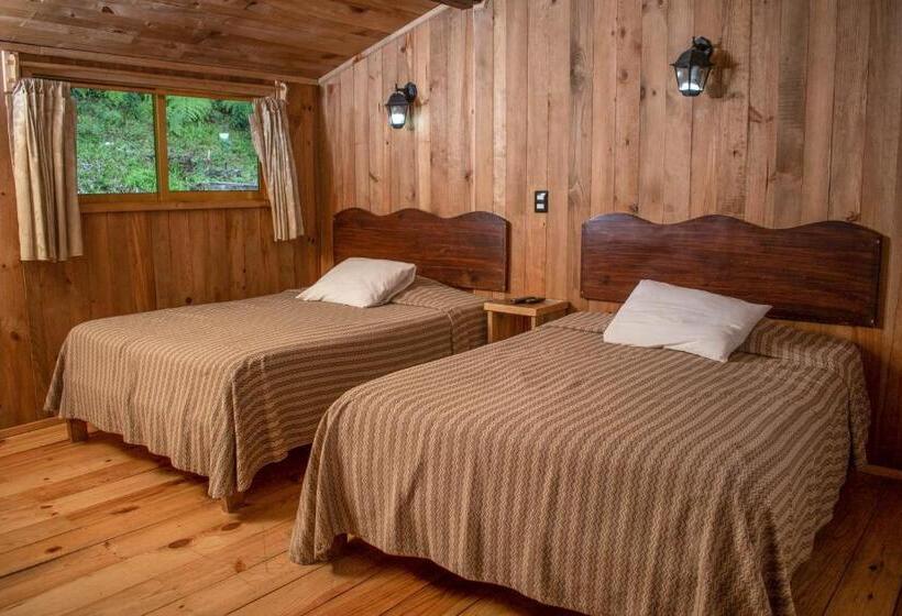 Отель Campestre Daarlu