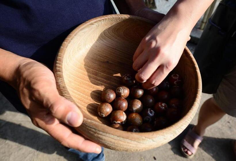 בית מלון כפרי Saksuksmile Resort