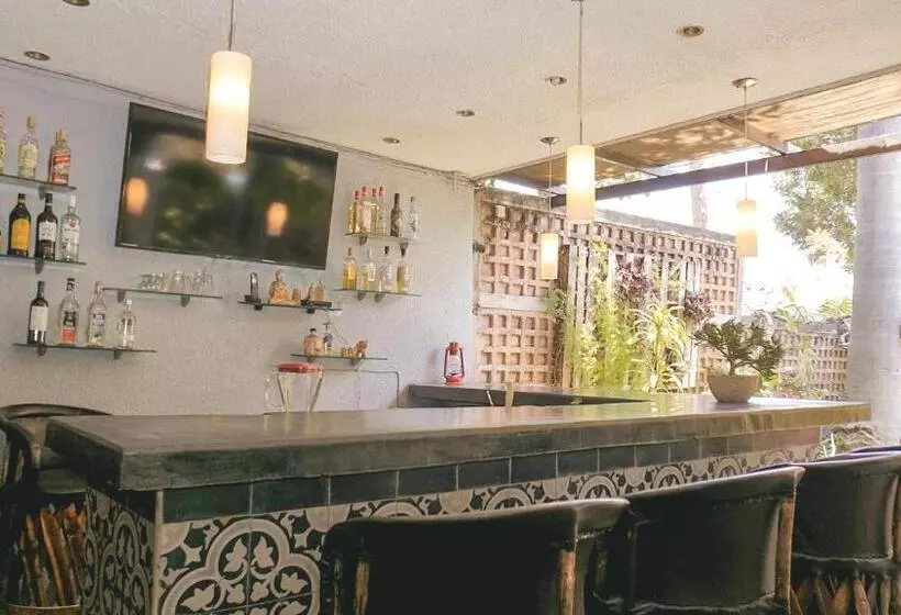 ホテル Toca Madera