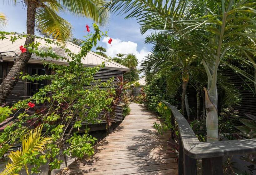 تختخواب و صبحانه Pur Boutique Cabanas, Adults Only