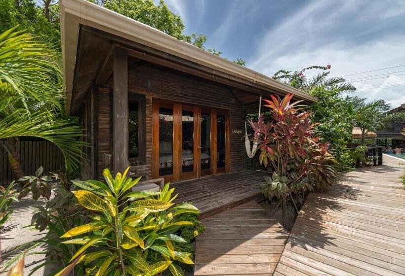 تختخواب و صبحانه Pur Boutique Cabanas, Adults Only