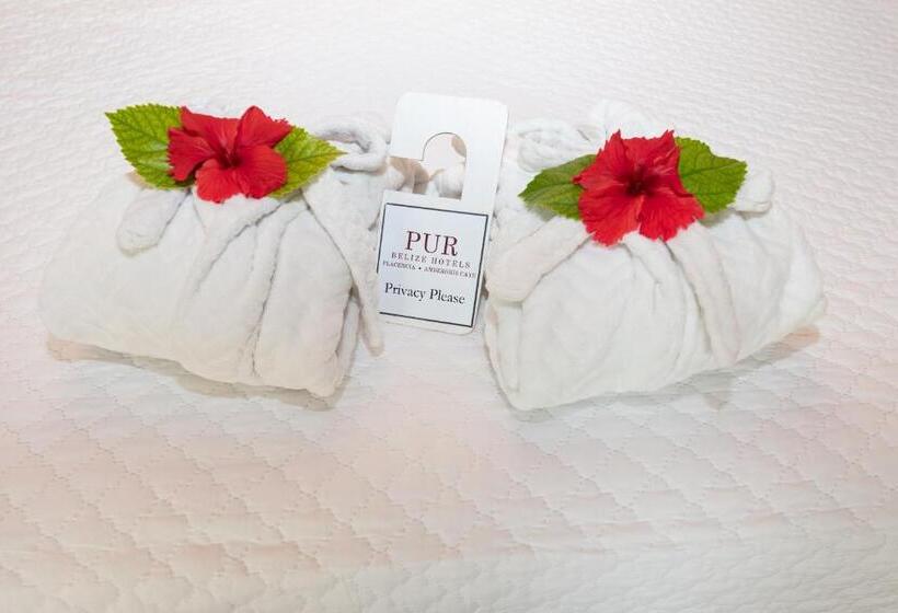 تختخواب و صبحانه Pur Boutique Cabanas, Adults Only