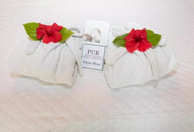 ベッドアンドブレックファースト Pur Boutique Cabanas, Adults Only